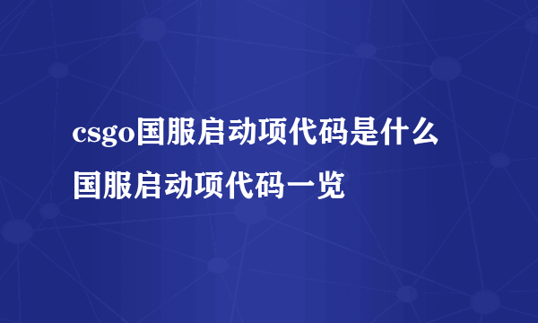 csgo国服启动项代码是什么 国服启动项代码一览