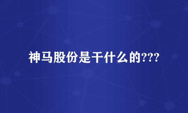 神马股份是干什么的???