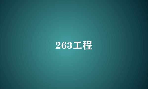 263工程