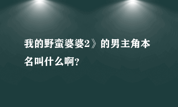 我的野蛮婆婆2》的男主角本名叫什么啊？