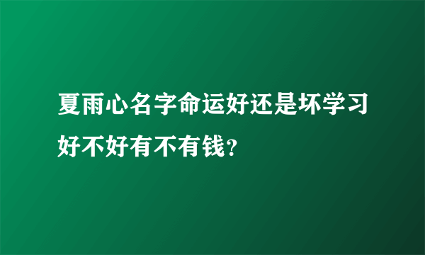 夏雨心名字命运好还是坏学习好不好有不有钱？