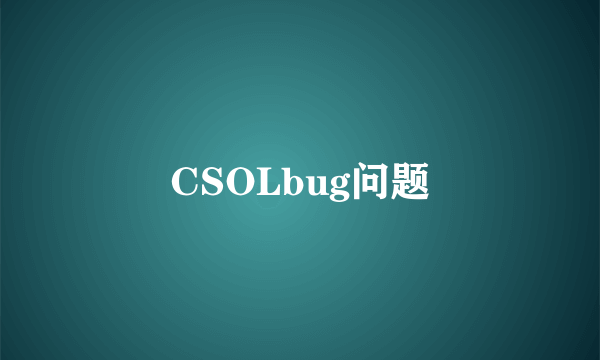 CSOLbug问题