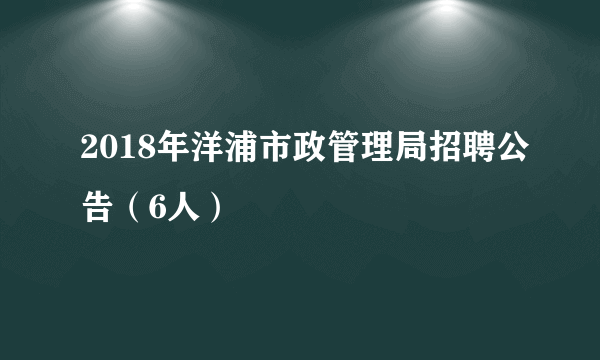 2018年洋浦市政管理局招聘公告（6人）