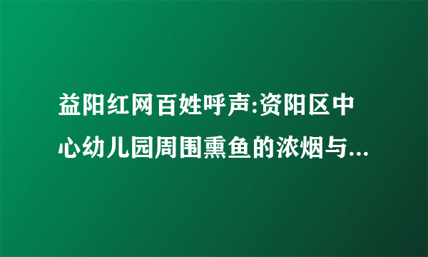 益阳红网百姓呼声:资阳区中心幼儿园周围熏鱼的浓烟与臭气伴学生茁壮成长！