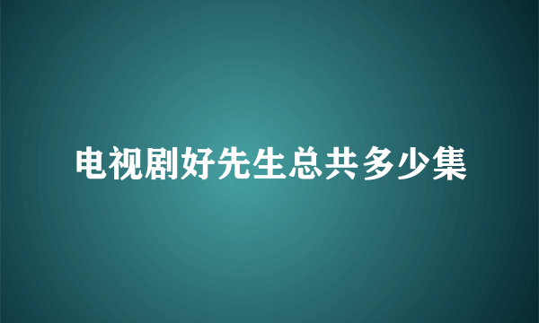 电视剧好先生总共多少集