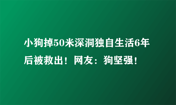 小狗掉50米深洞独自生活6年后被救出！网友：狗坚强！