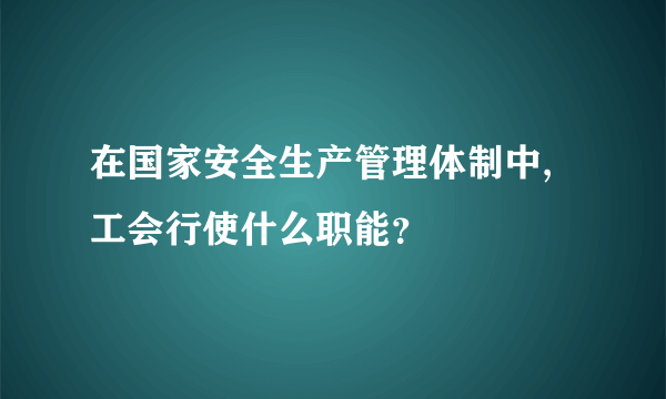 在国家安全生产管理体制中,工会行使什么职能？