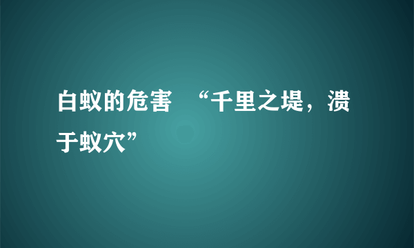 白蚁的危害  “千里之堤，溃于蚁穴”