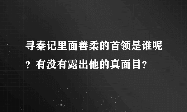 寻秦记里面善柔的首领是谁呢？有没有露出他的真面目？