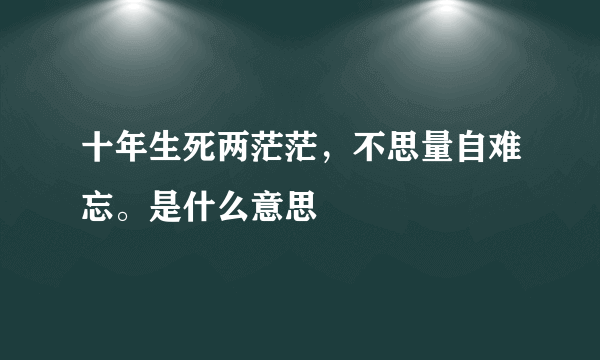 十年生死两茫茫，不思量自难忘。是什么意思