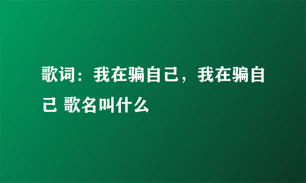 歌词：我在骗自己，我在骗自己 歌名叫什么