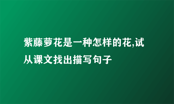 紫藤萝花是一种怎样的花,试从课文找出描写句子