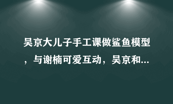 吴京大儿子手工课做鲨鱼模型，与谢楠可爱互动，吴京和孩子都是如何相处的？