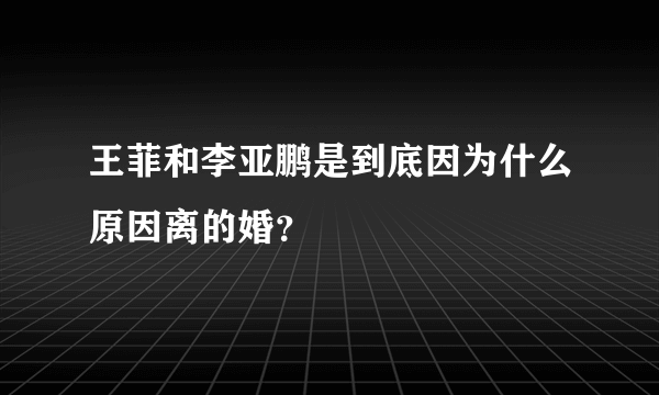 王菲和李亚鹏是到底因为什么原因离的婚？