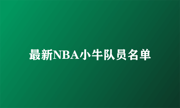 最新NBA小牛队员名单