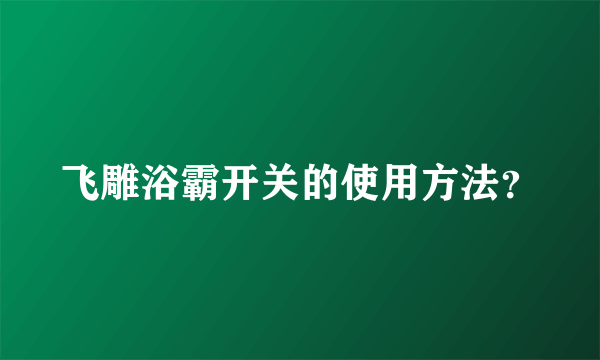 飞雕浴霸开关的使用方法？