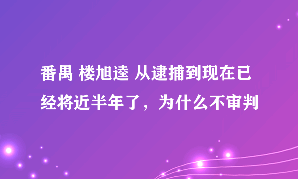 番禺 楼旭逵 从逮捕到现在已经将近半年了，为什么不审判