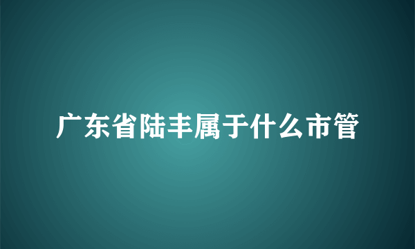 广东省陆丰属于什么市管