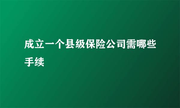 成立一个县级保险公司需哪些手续