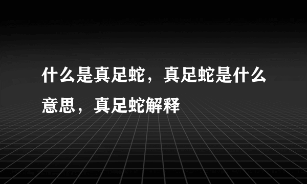 什么是真足蛇，真足蛇是什么意思，真足蛇解释