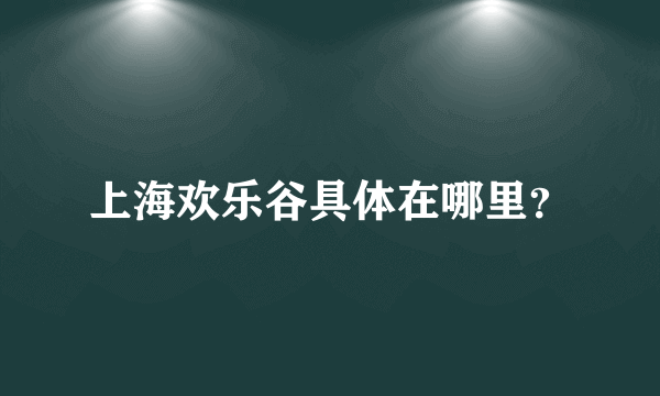 上海欢乐谷具体在哪里？