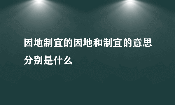 因地制宜的因地和制宜的意思分别是什么