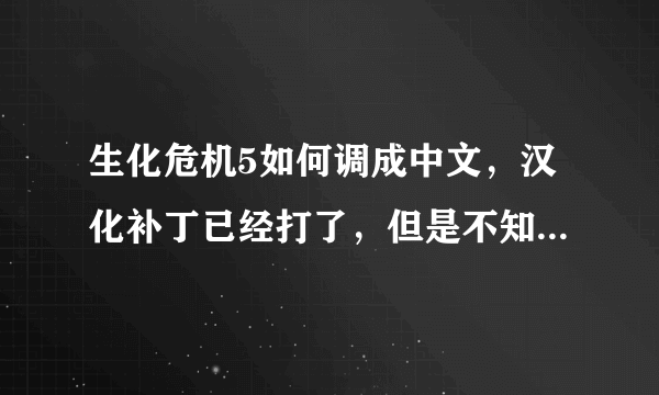 生化危机5如何调成中文，汉化补丁已经打了，但是不知道从哪里调成中文？