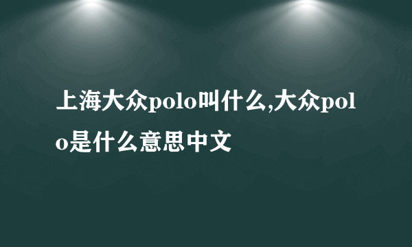 上海大众polo叫什么,大众polo是什么意思中文