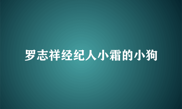 罗志祥经纪人小霜的小狗