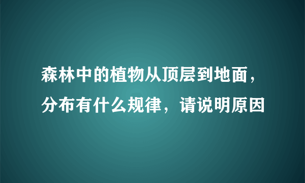 森林中的植物从顶层到地面，分布有什么规律，请说明原因