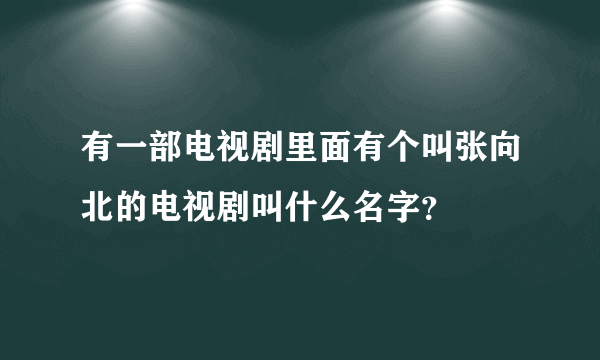 有一部电视剧里面有个叫张向北的电视剧叫什么名字？