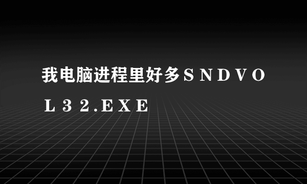 我电脑进程里好多ＳＮＤＶＯＬ３２.ＥＸＥ