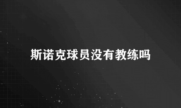 斯诺克球员没有教练吗