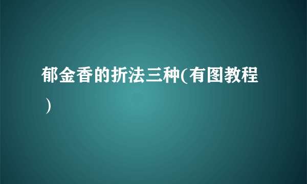 郁金香的折法三种(有图教程）