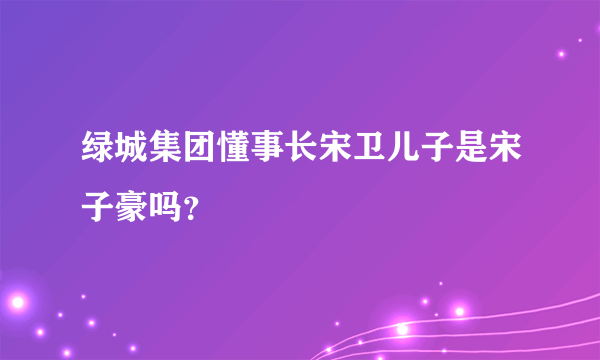 绿城集团懂事长宋卫儿子是宋子豪吗？