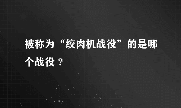 被称为“绞肉机战役”的是哪个战役 ?