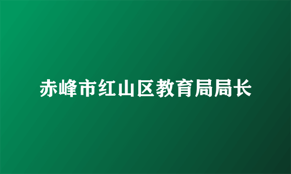 赤峰市红山区教育局局长