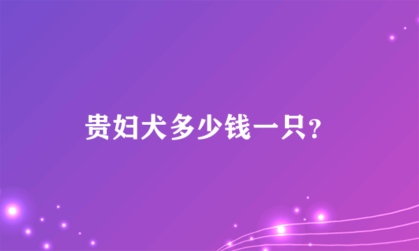 贵妇犬多少钱一只？