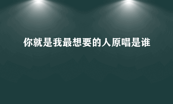 你就是我最想要的人原唱是谁