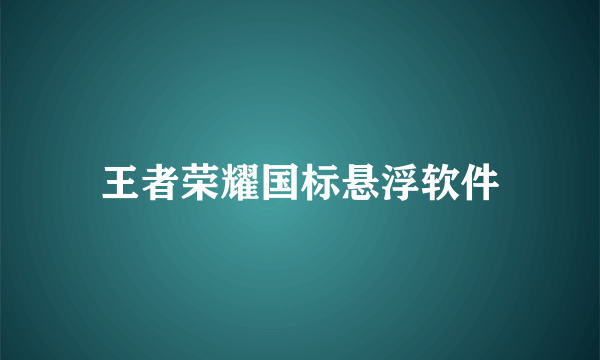 王者荣耀国标悬浮软件