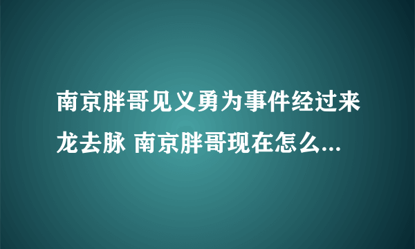 南京胖哥见义勇为事件经过来龙去脉 南京胖哥现在怎么样了情况如何