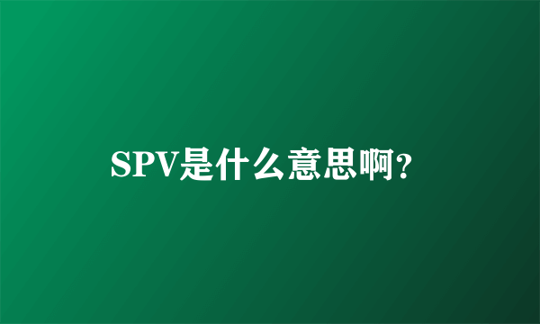 SPV是什么意思啊？