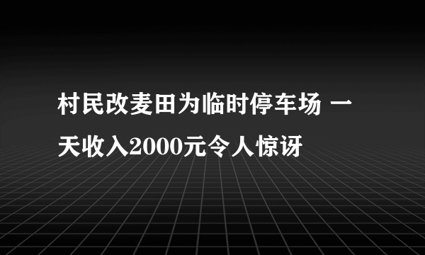 村民改麦田为临时停车场 一天收入2000元令人惊讶