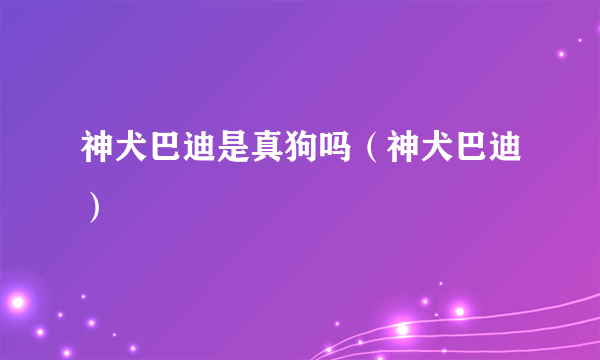 神犬巴迪是真狗吗（神犬巴迪）