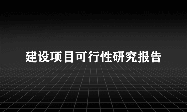 建设项目可行性研究报告