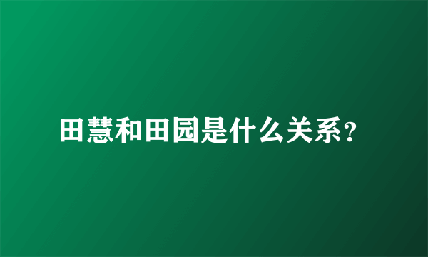 田慧和田园是什么关系？