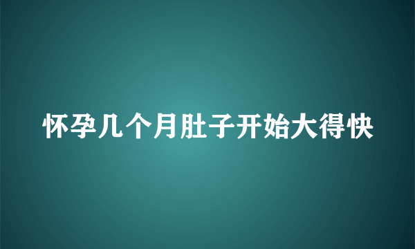 怀孕几个月肚子开始大得快