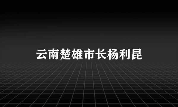 云南楚雄市长杨利昆