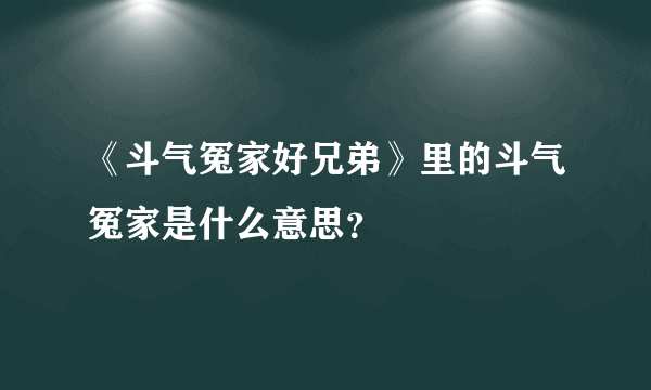 《斗气冤家好兄弟》里的斗气冤家是什么意思？