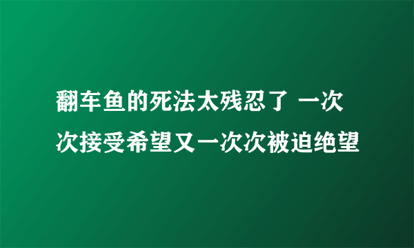 翻车鱼的死法太残忍了 一次次接受希望又一次次被迫绝望